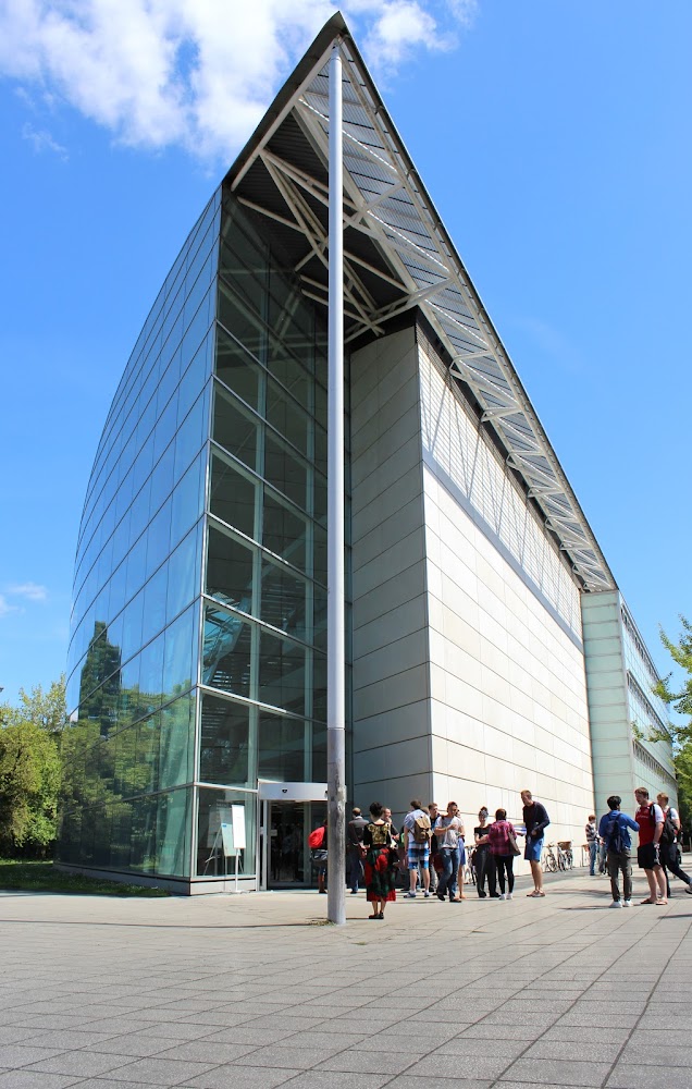 The Faculty of Law